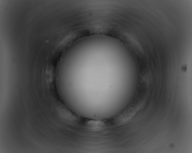 X0000102000133200807181213