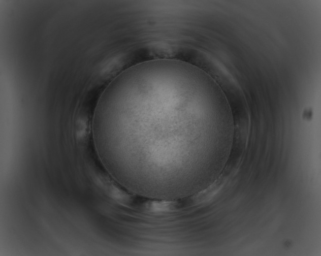 X0000102000134200807181213