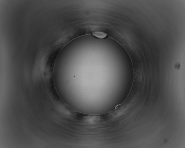 X0000102000135200807181213