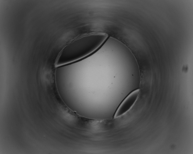 X0000102000136200807181213