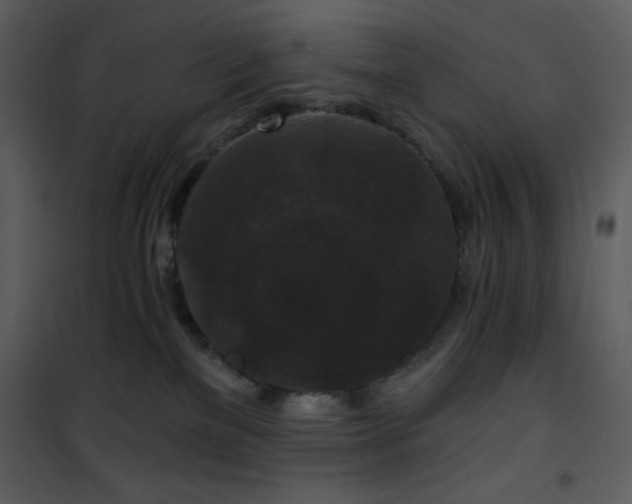 X0000102000137200807181213