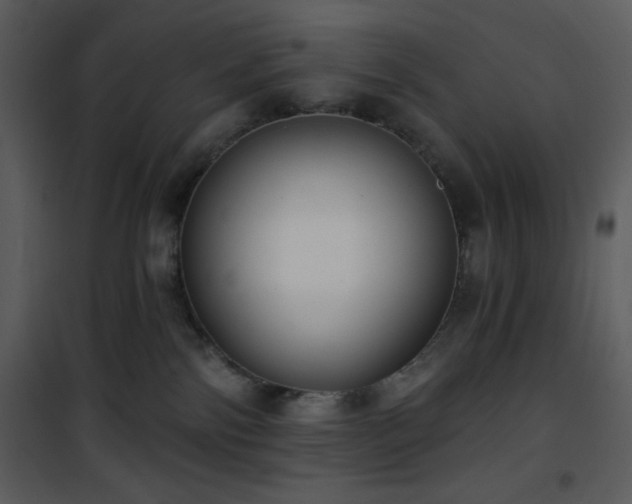 X0000102000138200807181213