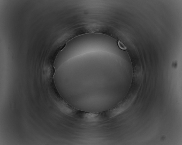 X0000102000139200807181213