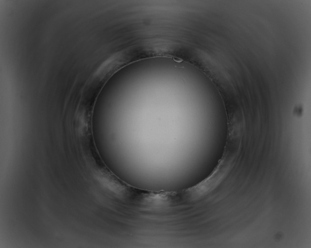 X0000102000140200807181213