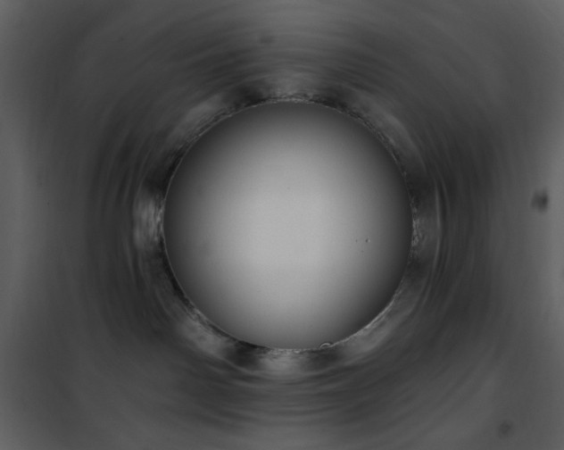 X0000102000142200807181213