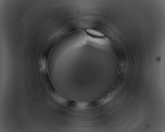 X0000102000143200807181213