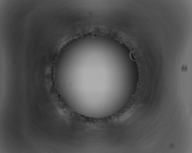 X0000102000144200807181213