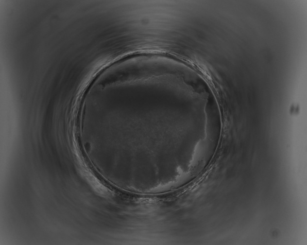 X0000102000145200807181213