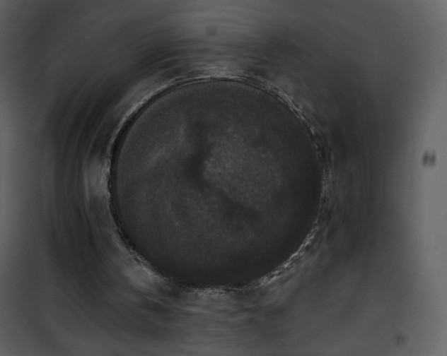 X0000102000146200807181213