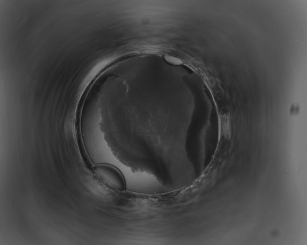 X0000102000147200807181213