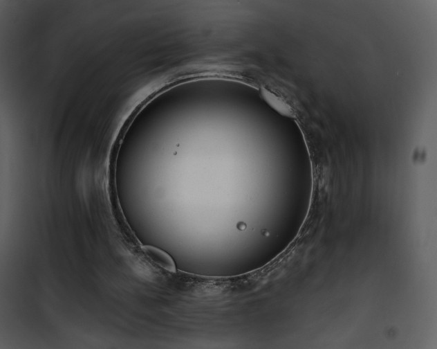 X0000102000148200807181213