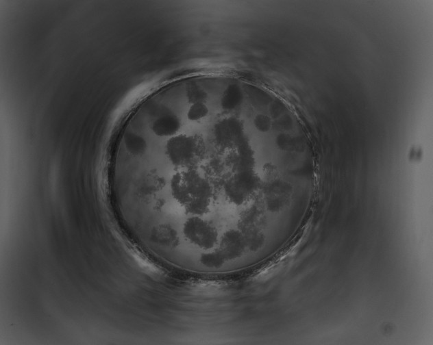 X0000102000149200807181213