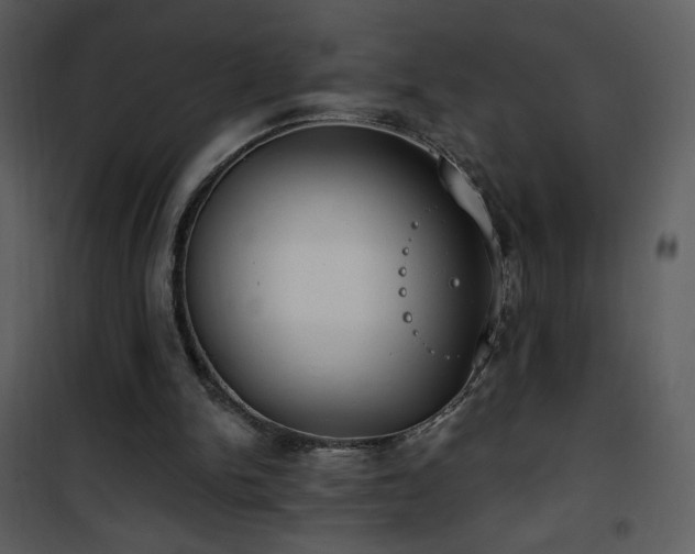 X0000102000150200807181213