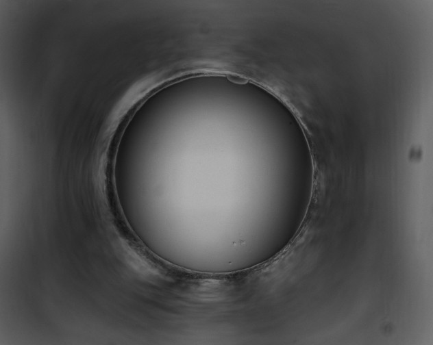 X0000102000151200807181213