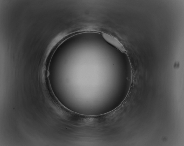 X0000102000152200807181213