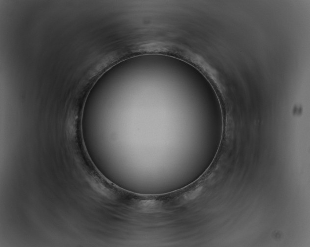 X0000102000153200807181213