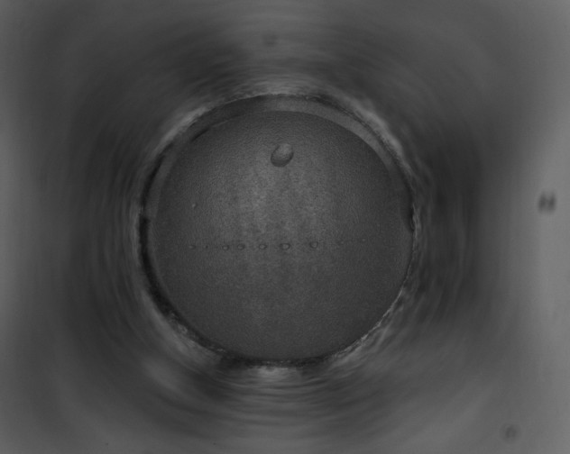 X0000102000154200807181213