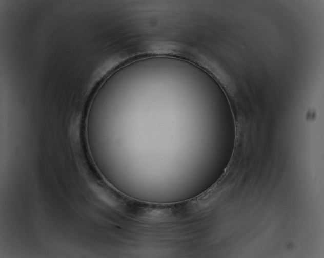 X0000102000155200807181213