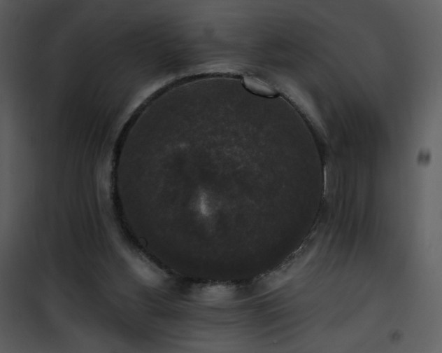 X0000102000156200807181213