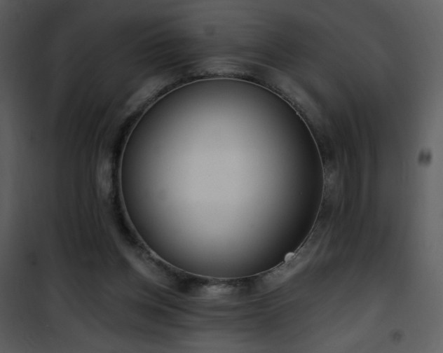 X0000102000158200807181213