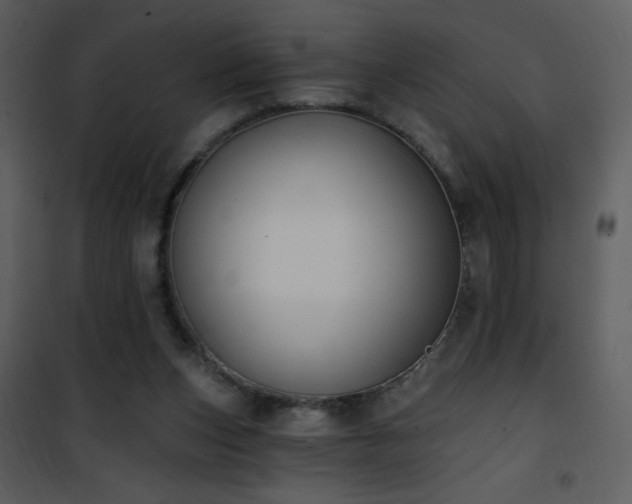 X0000102000159200807181213