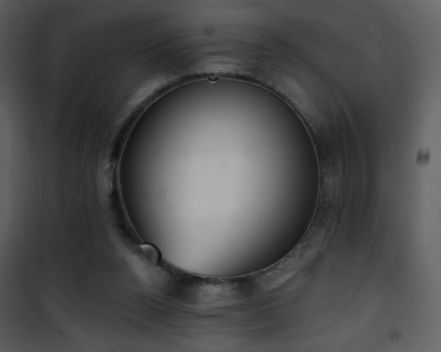 X0000102000160200807181213