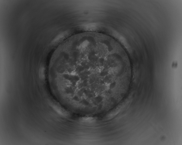 X0000102000161200807181213