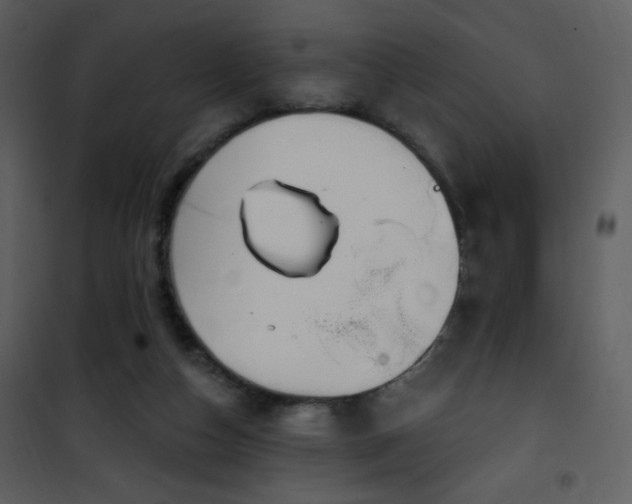 X0000102000162200807181213