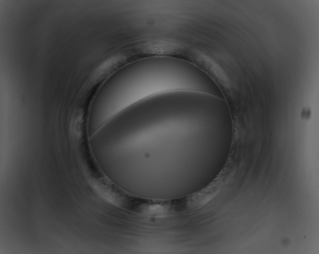 X0000102000163200807181213