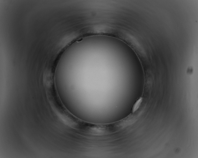 X0000102000164200807181213