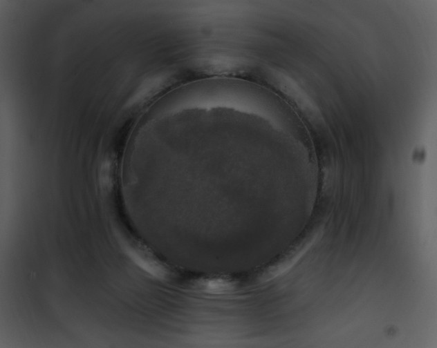 X0000102000165200807181213