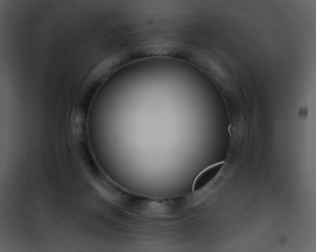 X0000102000166200807181213