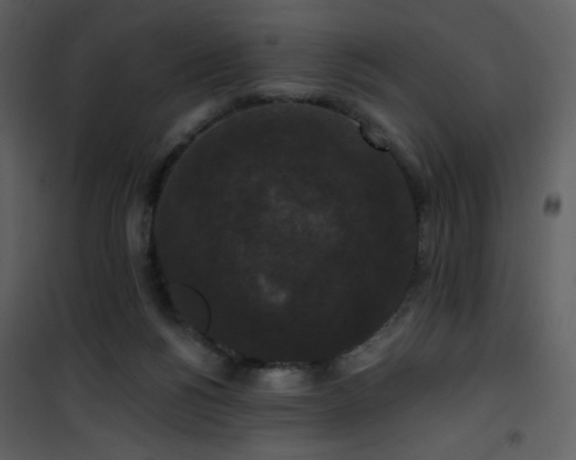 X0000102000168200807181213