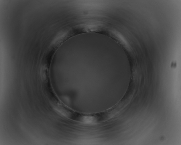 X0000102000169200807181213