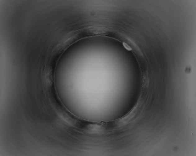 X0000102000170200807181213