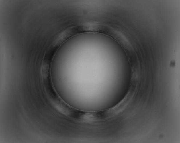 X0000102000171200807181213