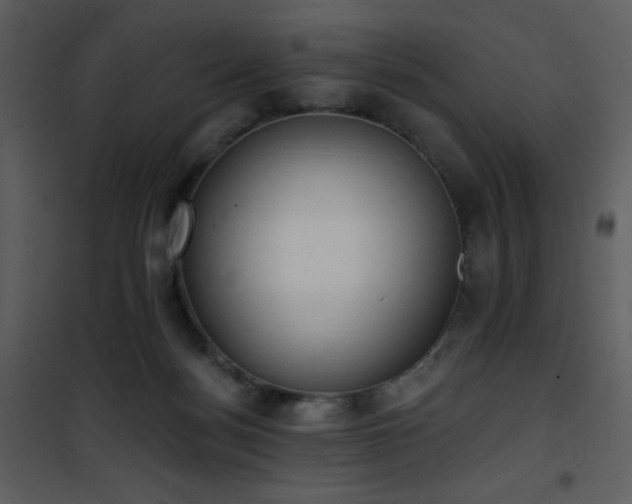 X0000102000172200807181213