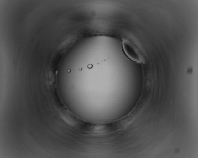 X0000102000173200807181213