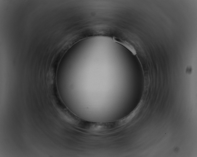 X0000102000174200807181213