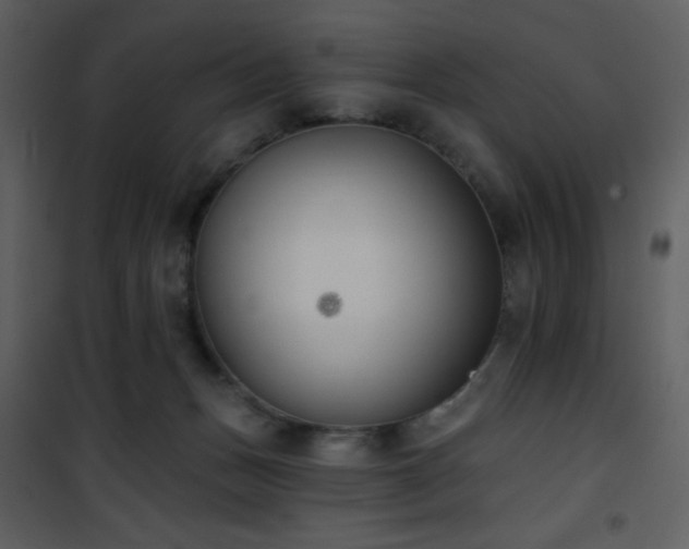 X0000102000175200807181213