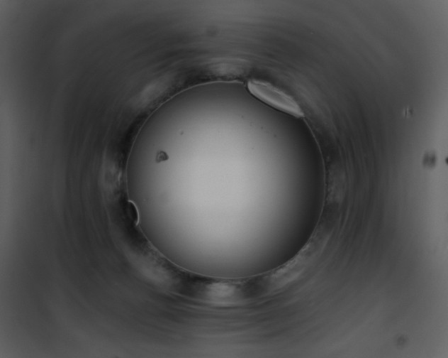 X0000102000176200807181213