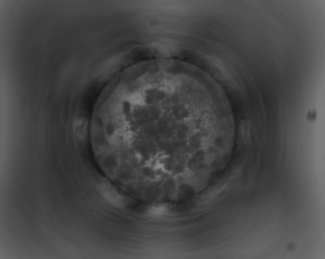 X0000102000177200807181213