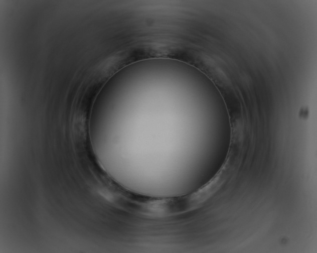 X0000102000178200807181213