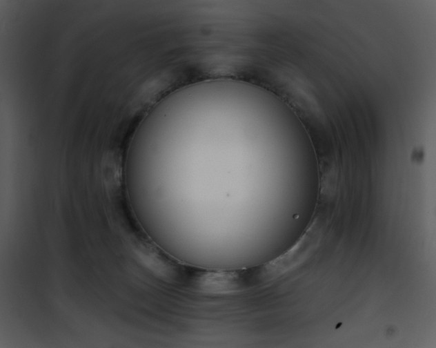 X0000102000179200807181213