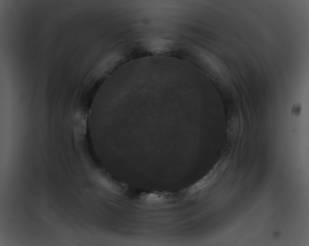 X0000102000180200807181213