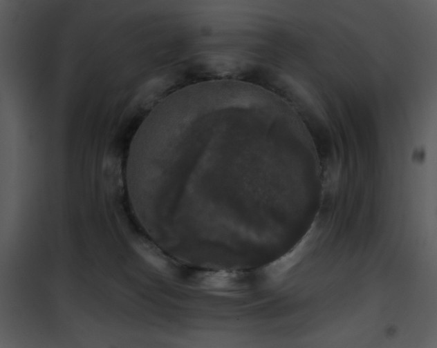 X0000102000182200807181213