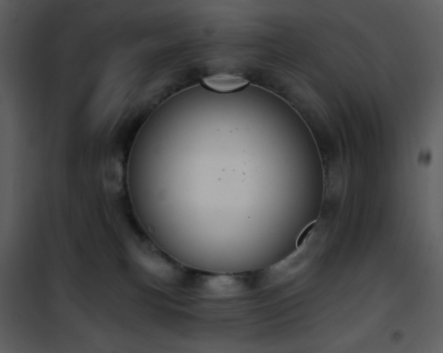 X0000102000183200807181213