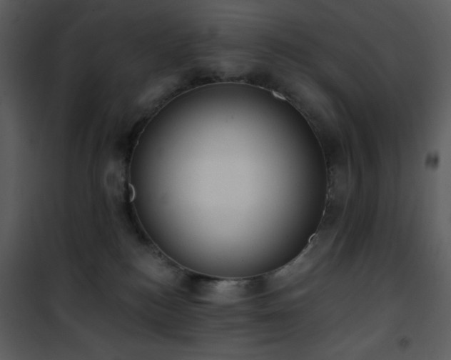 X0000102000184200807181213