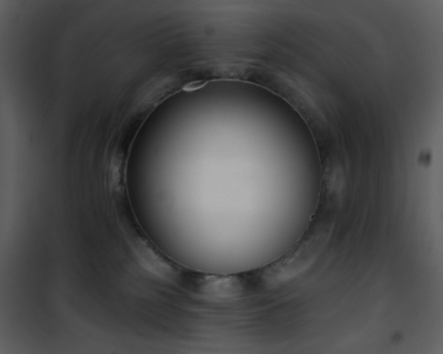 X0000102000185200807181213