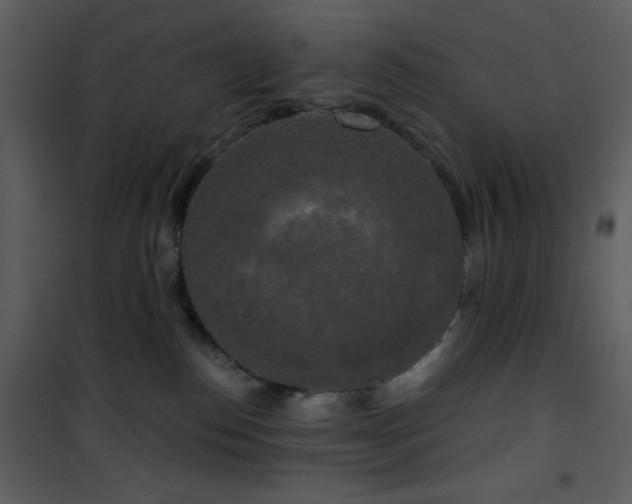 X0000102000186200807181213